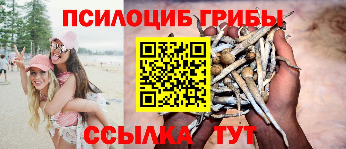 Псилоцибиновые грибы прущие грибы Среднеуральск