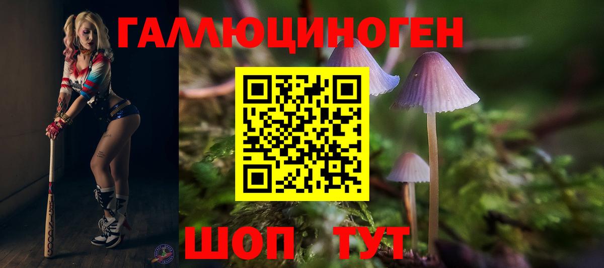 Галлюциногенные грибы Psilocybine cubensis  Псилоцибиновые грибы Psilocybine cubensis  Вход с VPN  как найти закладки  Среднеуральск 